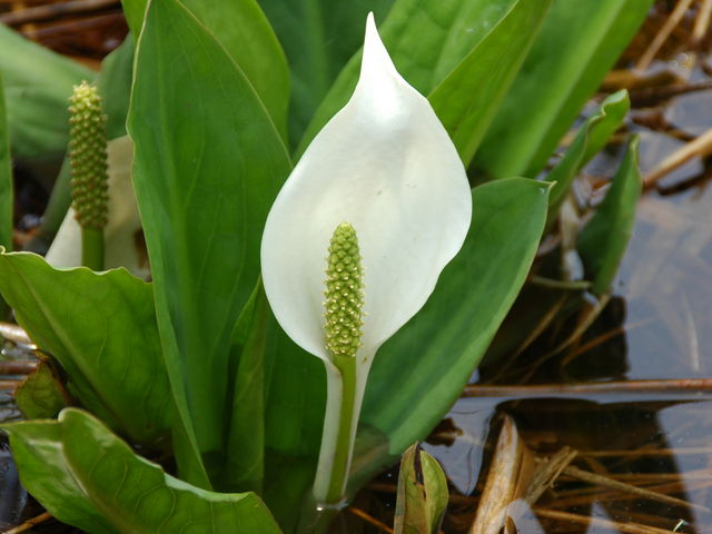 v[񂳂̐mԌQn̓eʐ^3