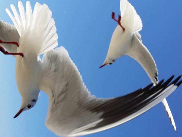 ���ق̕��ɋ����Ă��炢�A�����ς��т���������Ă����܂����I�܂��P��Ȃ����������񂽂��ł��B_�|��