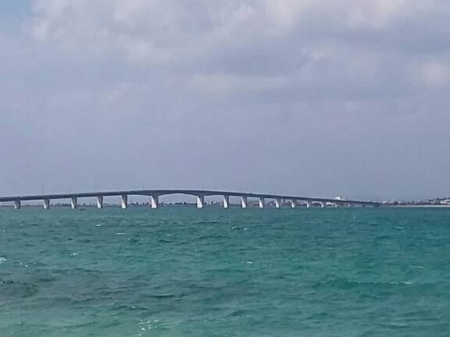 �l��Ó����畽�������ɂ����鋴��������B_�A�}�~�`���[�̕�