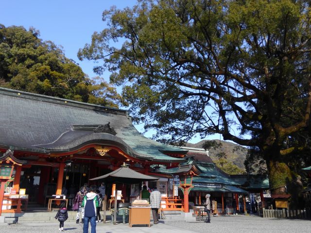 ���̑�؂̍������A������܂��B_�F��ߒq���