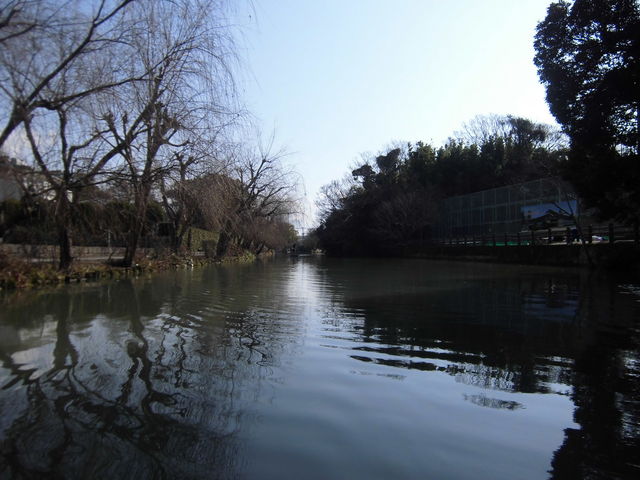 �悭�A�p���t�Ɏg��ꂽ�肷��V���b�g_��������ό�