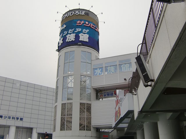 �T���s�A�U������_�V�����ۂ�T���s�A�U������
