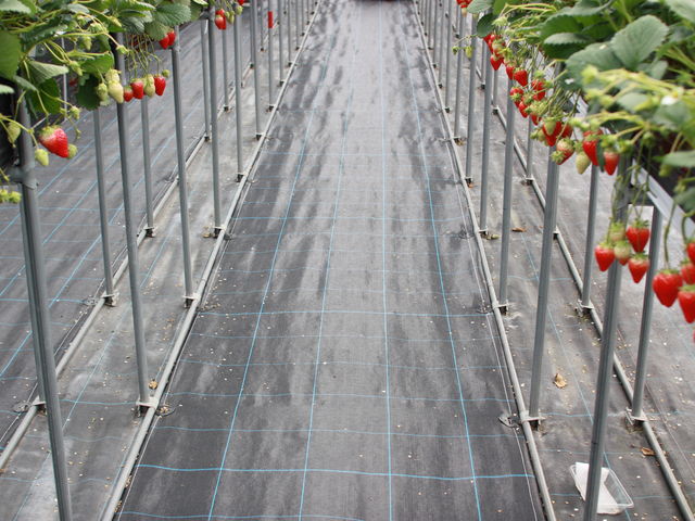 �V�[�g���~����Ă���_���[��������