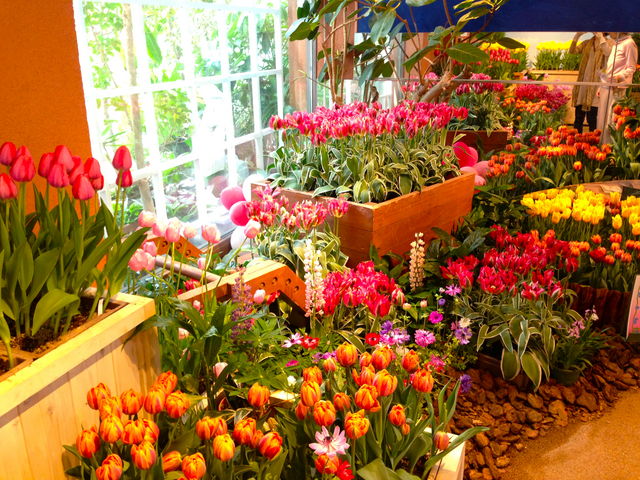 glỹ`[bvlGʊق̓eʐ^1