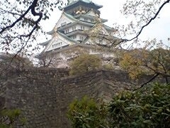 ��������̎ʐ^1