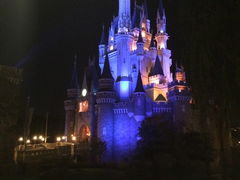 �����f�B�Y�j�[�����h(R)�̎ʐ^1