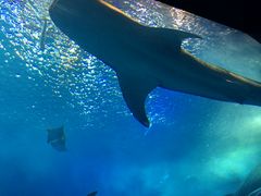 �������C�����ق̎ʐ^1