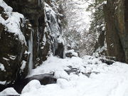 �R�E�m�g������̒Í������E�R��k�J�V�����̓��e�ʐ^2