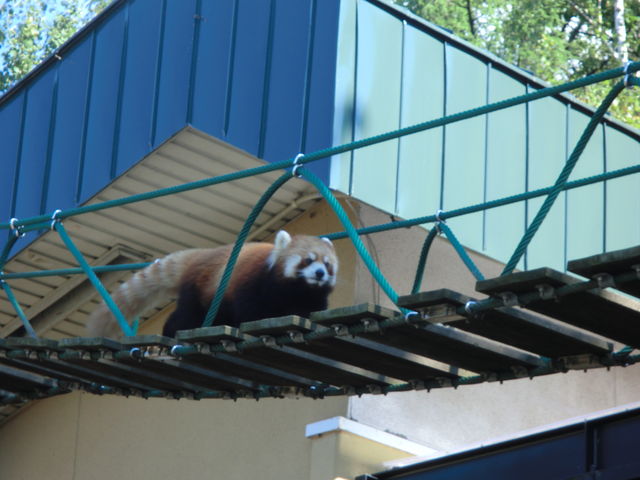 ���̏���ړ���_���R������