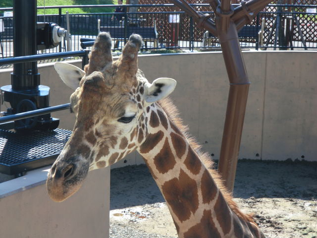 �����ڂ̑O_���R������