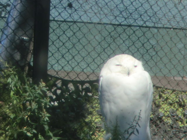 ����t�N���E_���R������