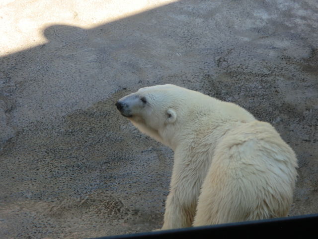 ���낭��_���R������