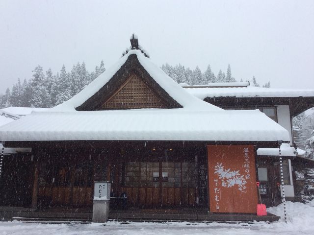 ���ʓ���_�l�����ނ�