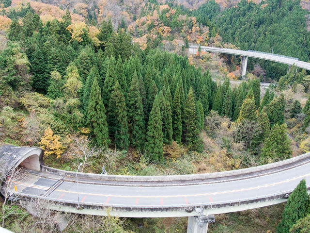 Ƃ炤Ă͂ނ̉o_낿[v̓eʐ^1