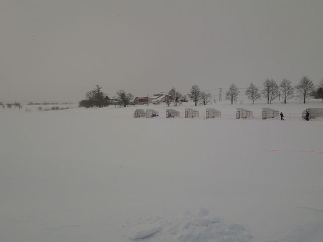 JTMނ_񂵂̂򂽂Ղ̓