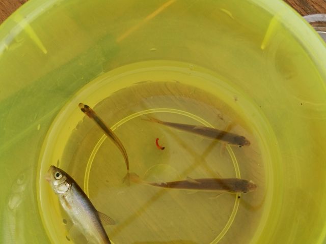 JTMF1C
F3C_񂵂̂򂽂Ղ̓