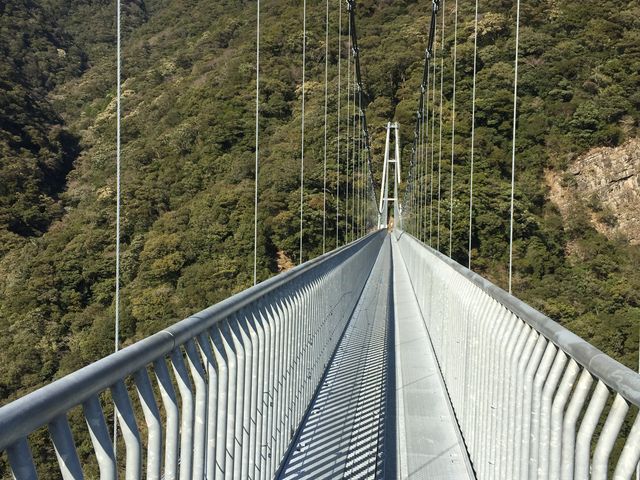 �O���������܂�_�Ɨt��݋�