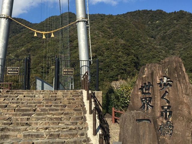 �m���ɋ����͒��������c�B_�Ɨt��݋�