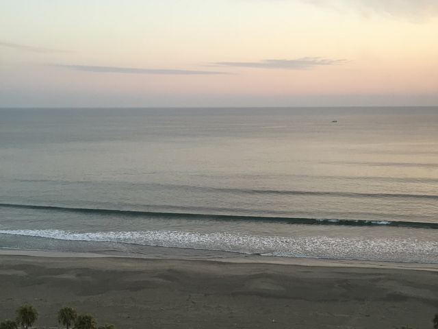 �������猩�����Ă��̗l�q_�`�m�`�z���f�C�E�C�� ���]�[�g�{��