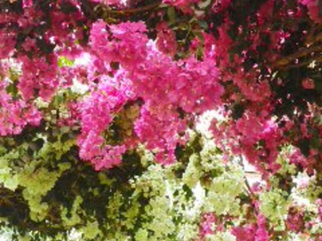 �^�񒆂ɂ�������_���̉w �����̗��ԋ�y��