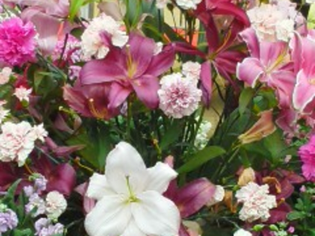 �L�O�B�e�p�ɏ���ꂽ��_���̉w �����̗��ԋ�y��