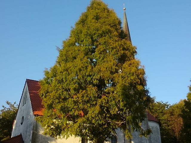 ��O���������ك��g�����[���h