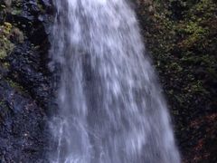 �C���_�C����̐�������ւ̓��e�ʐ^1