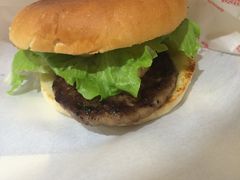 ɒBs̃no[K[VbvqJւ̓eʐ^1