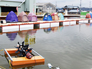 񂳂̂ڂ@gE\[̓eʐ^2