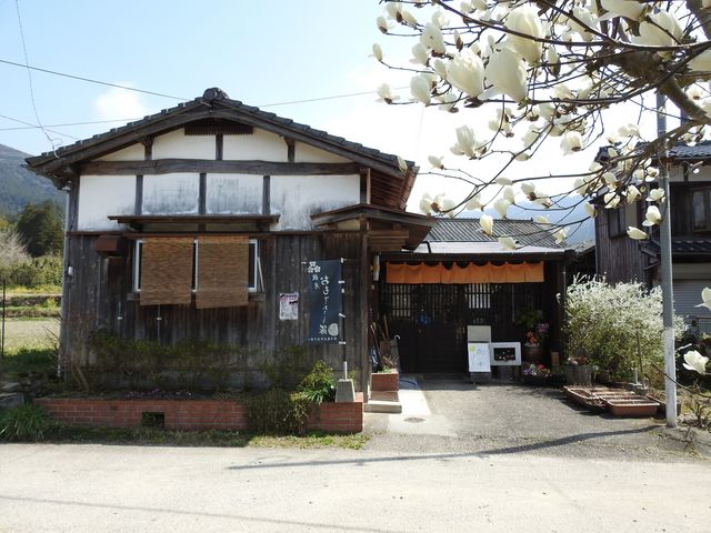 �}�O�H���a����