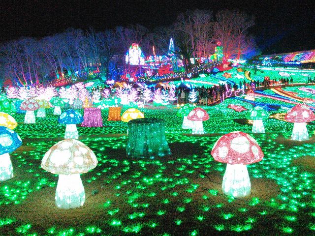 ���̂��̎R_�����h�C�c��