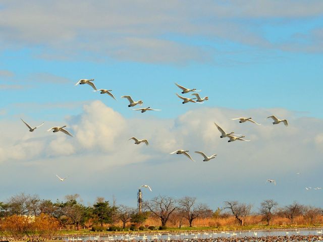 w鎞Ԃ͑ΑǂłB߂̂́ÂX`POłˁB_Zΐ