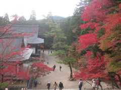 むすびさんの神護寺（京都府京都市）の投稿写真1