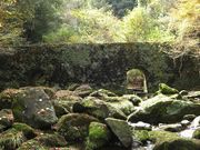 ނ炳񂳂̐[n̓eʐ^2