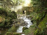 ނ炳񂳂̐[n̓eʐ^8