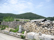 ނ͂ĂƂ̏ؓ̐Ί_WiIIej̓eʐ^1