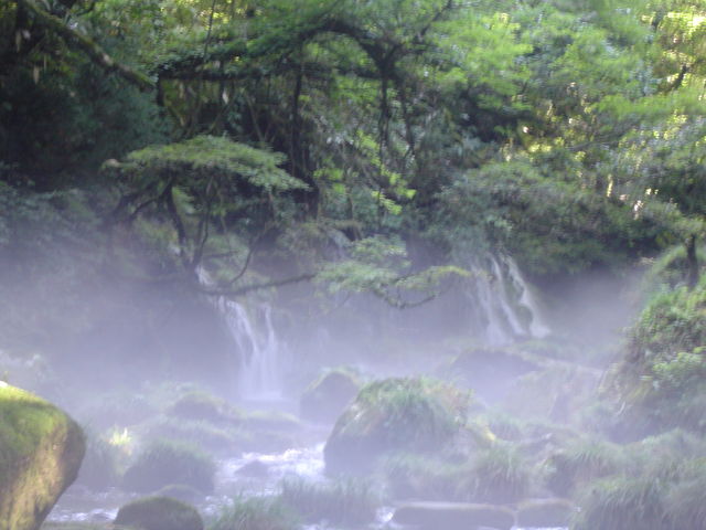 ���ꕚ����