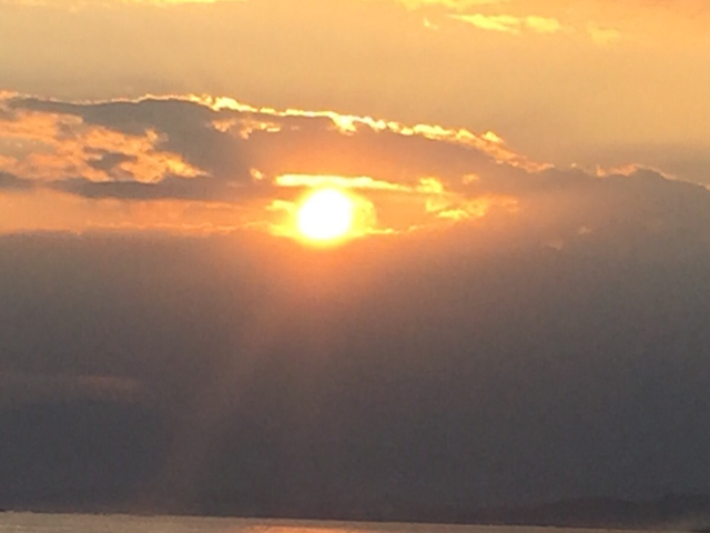 �[��_�А����l�E�����C������