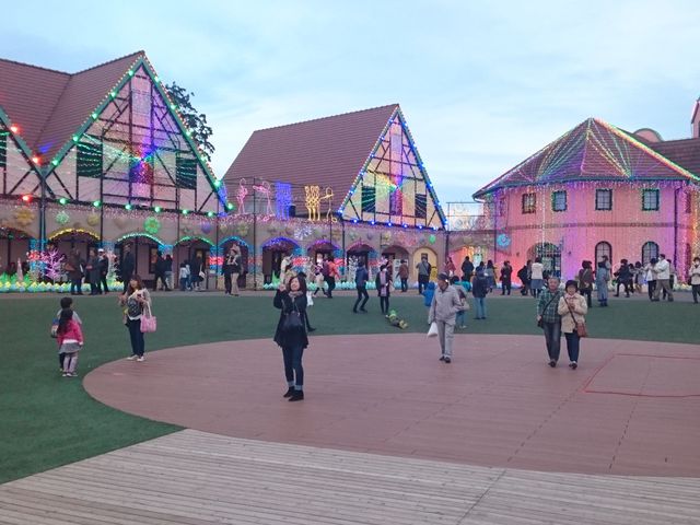 �����h�C�c��