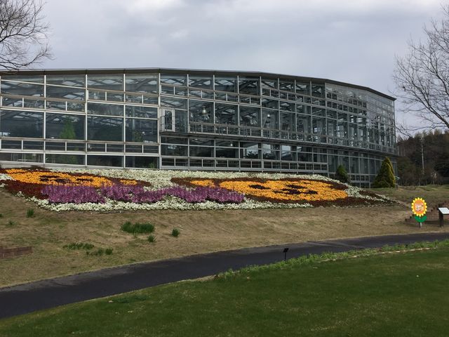 ���܂ˉԂ̋�_���܂ˉԂ̋�