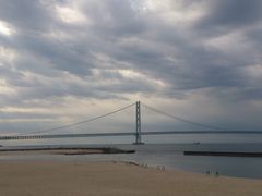 syumihana̖ΊC勴ubW[hւ̓eʐ^1