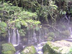 �̂̂ނ炳��̒��C�R����ւ̓��e�ʐ^1