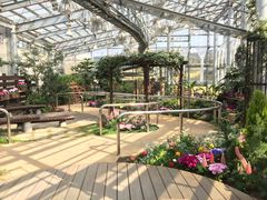 しまね花の郷 アクセス 営業時間 料金情報 じゃらんnet