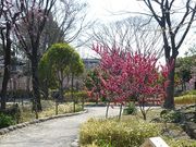 荒子川公園ガーデンプラザのラベンダー アクセス 営業時間 料金情報 じゃらんnet