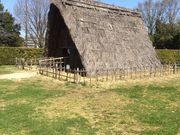 ͂܂񂳂儒ˈՁi儒ˌj̓eʐ^1