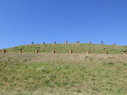 miiȉRRÕWق̓eʐ^1