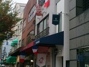 肻Ȃ̐_˃h[~[WA̓eʐ^2