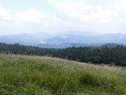 recid̉pFRN̉Ƃ̓eʐ^1