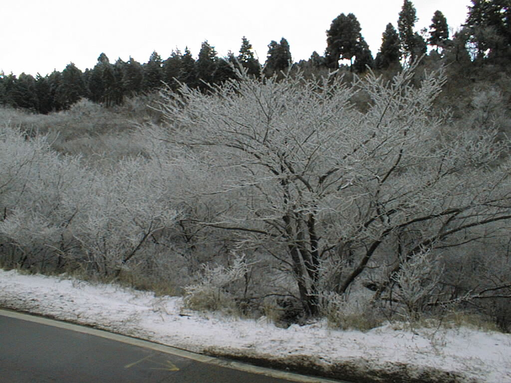 全国 冬しか見れない 流氷 樹氷 が絶景すぎ 幻想的な冬の自然風景21選 2 じゃらんnet