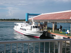 Ђ낳̐Ί_`^[~iւ̓eʐ^1